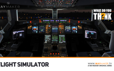 What Do You Think – Flight Simulator